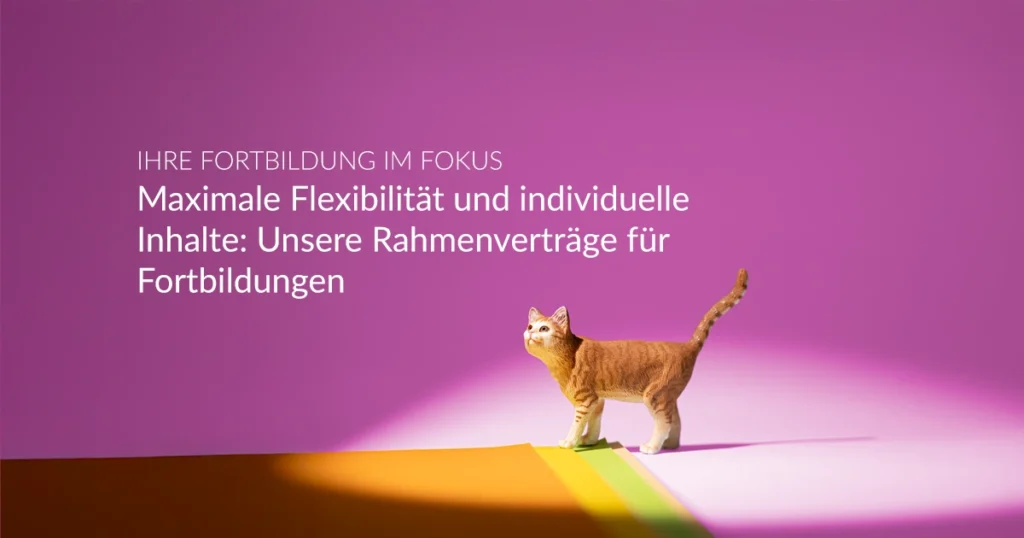 qtec Academy | Unsere Rahmenverträge für Fortbildung