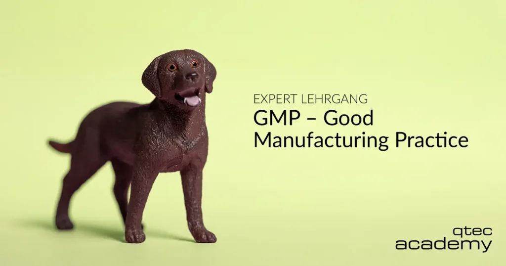 qtec Academy | Expert Lehrgang GMP